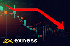 Understanding the Various Exness Account Types Understanding the Various Exness Account Types