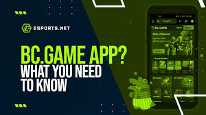 Experience the Excitement of BC Game Bet 38