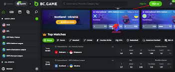 Experience the Excitement of BC Game Bet 38